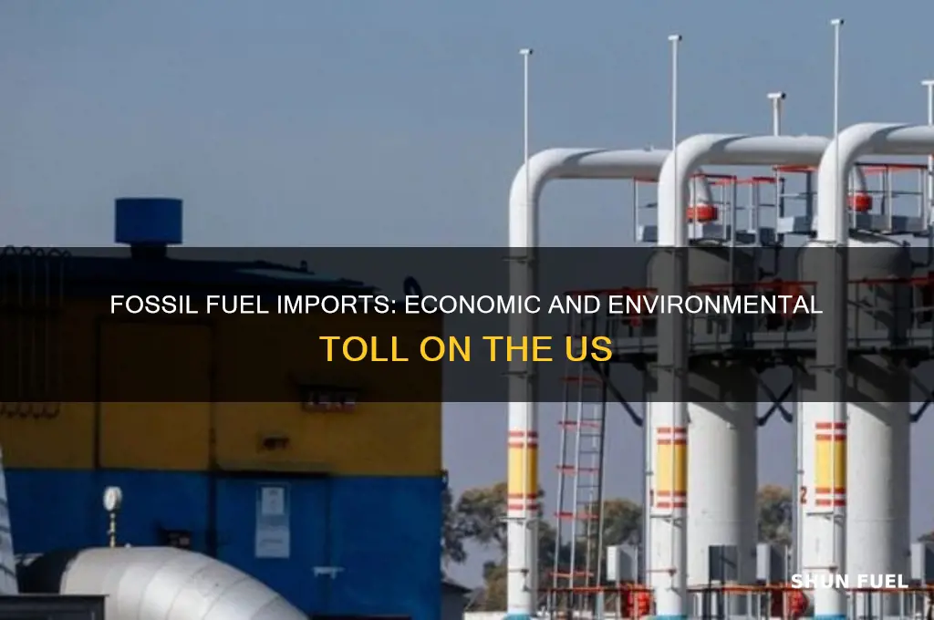 where fossil fuel imports negatively impact the us