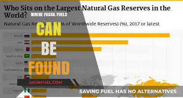 Exploring the Global Locations of Fossil Fuel Reserves and Deposits