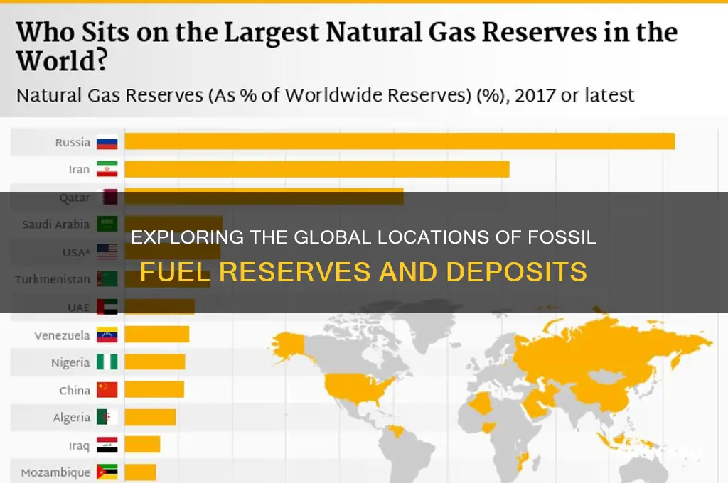 where fossil fuels can be found