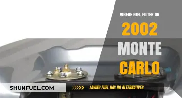 Finding the Fuel Filter in a 2002 Monte Carlo