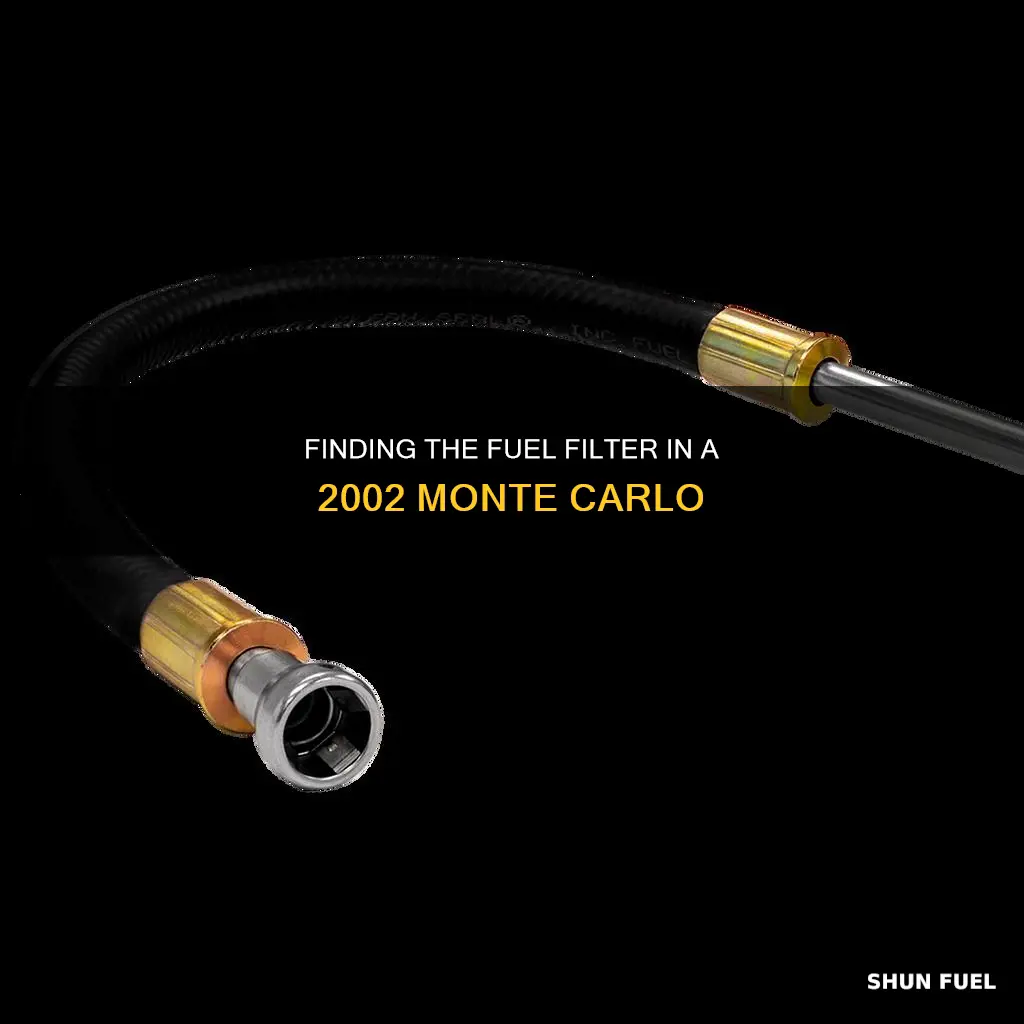 where fuel filter on 2002 monte carlo