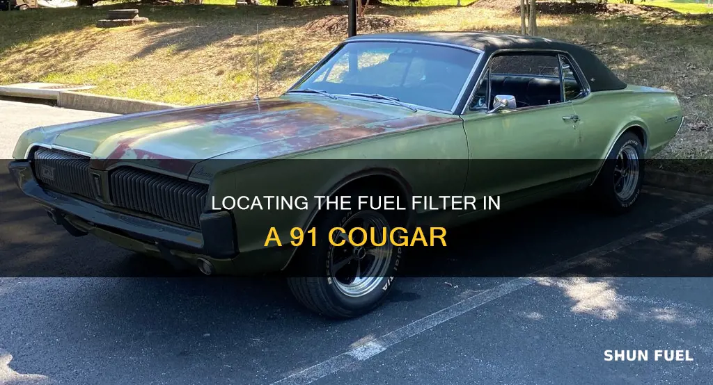 where fuel filter on 91 cougar