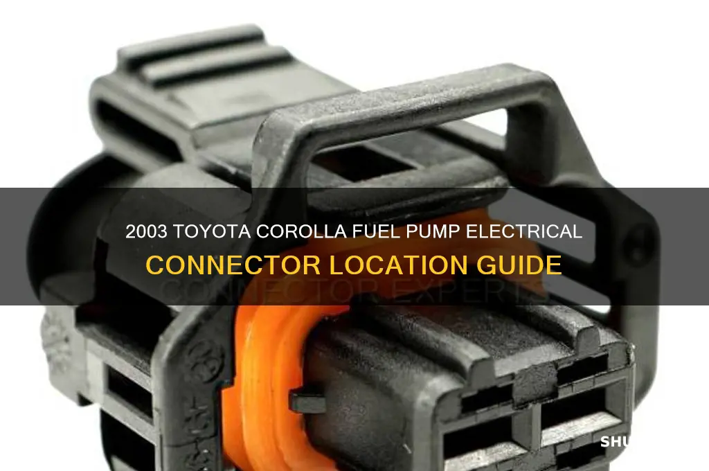 where fuel pump electrical connector 2003 corolla