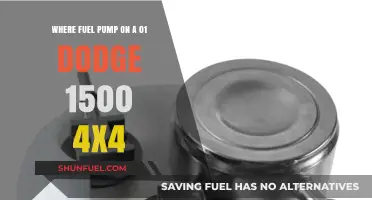 Locate the Fuel Pump on a 2001 Dodge 1500 4x4