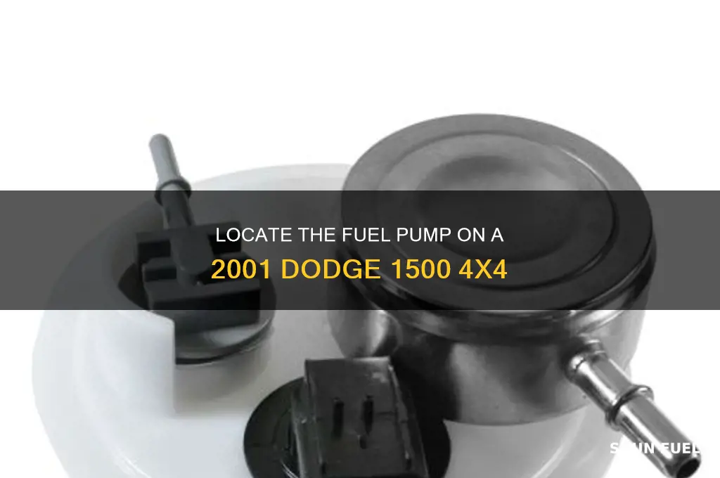 where fuel pump on a 01 dodge 1500 4x4