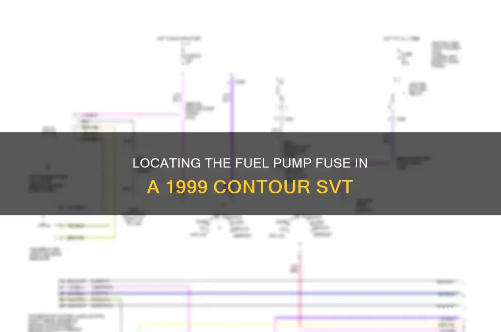 where if fuel pump fuse on 99 contour svt
