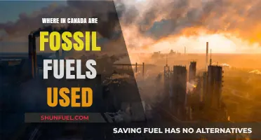 Canada's Fossil Fuel Usage: Regional Breakdown and Energy Insights