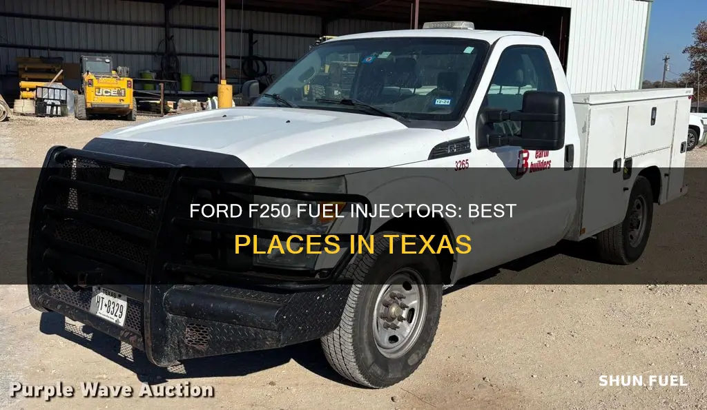 where in texas for ford f250 fuel injectors