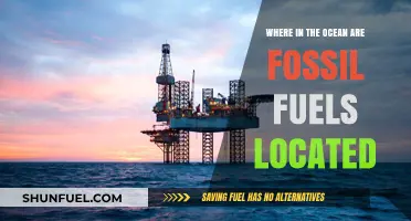 Exploring Ocean Depths: Where Fossil Fuels Lie Beneath the Waves