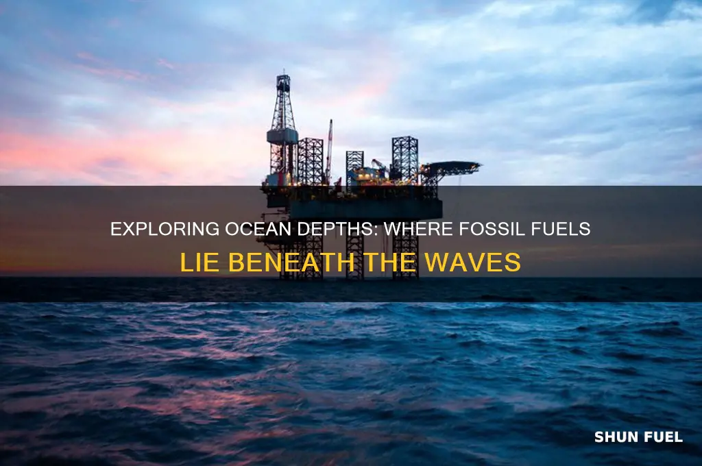 where in the ocean are fossil fuels located