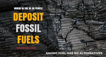 Mapping America's Fossil Fuel Deposits: Key Regions and States