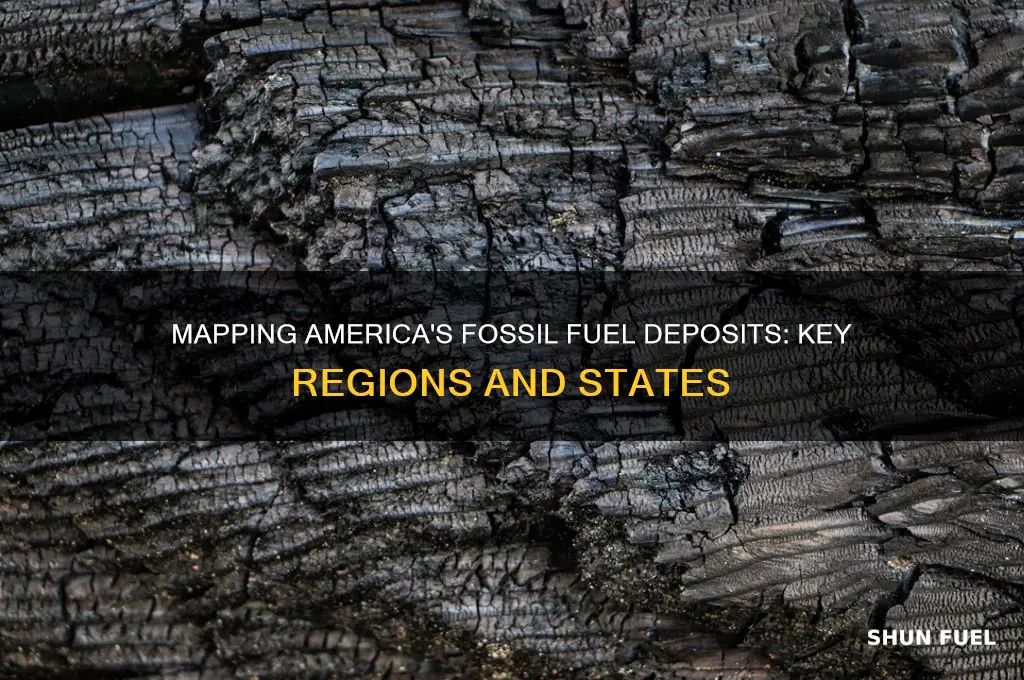where in the us do people deposit fossil fuels