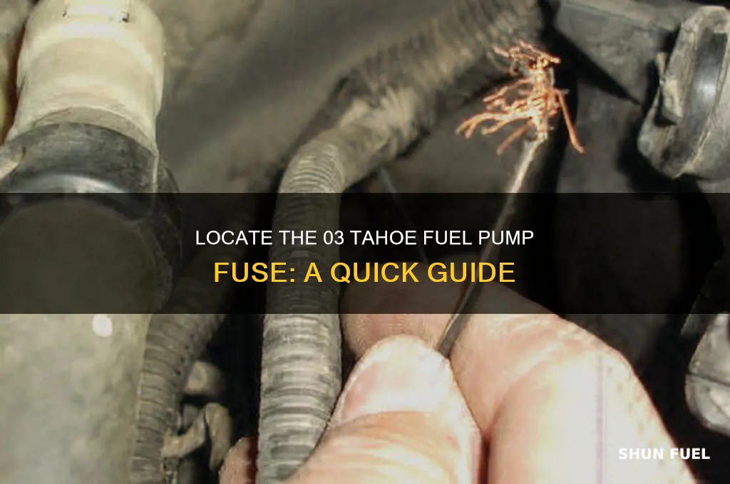 where is 03 tahoe fuel pump fuse