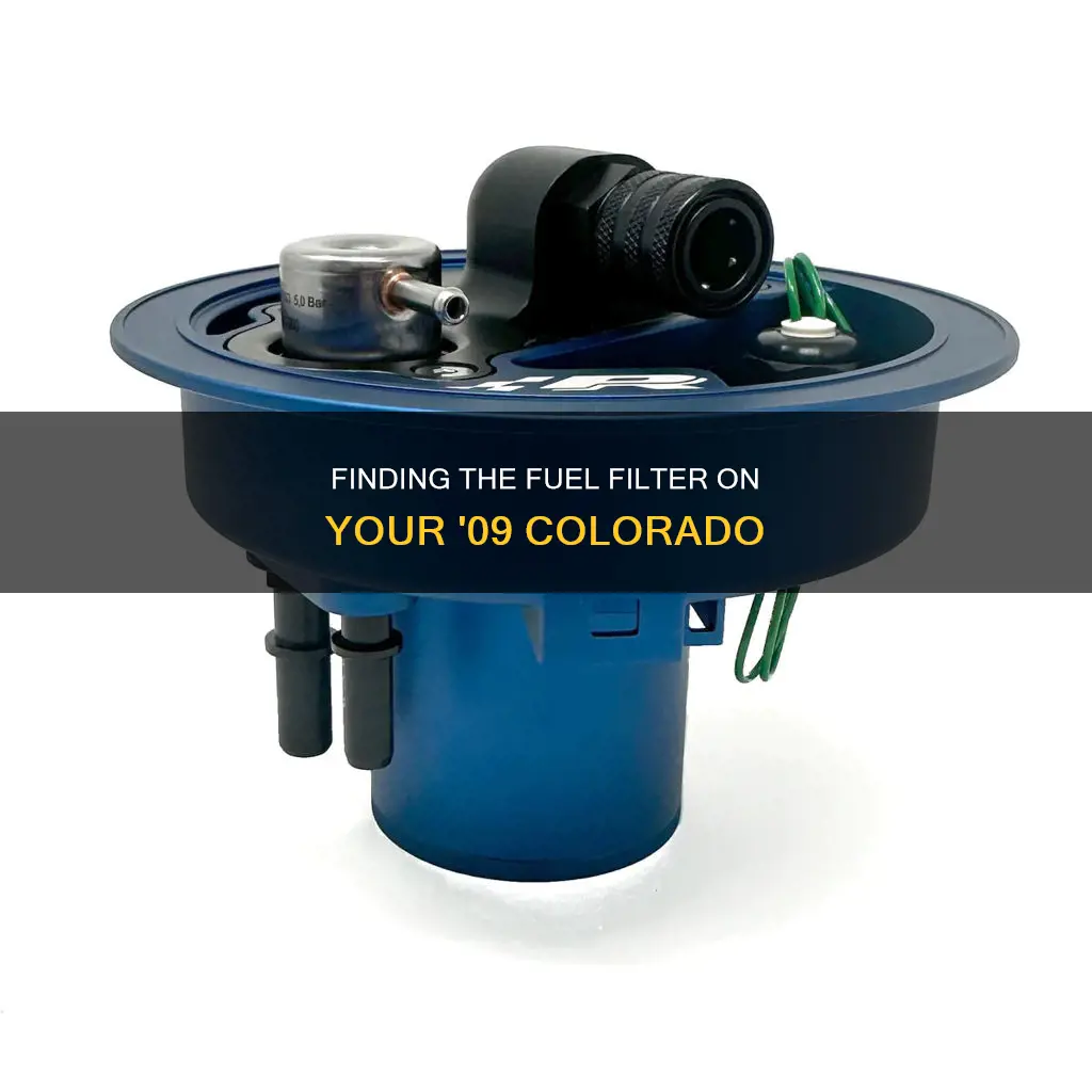 where is 09 colorado fuel filter