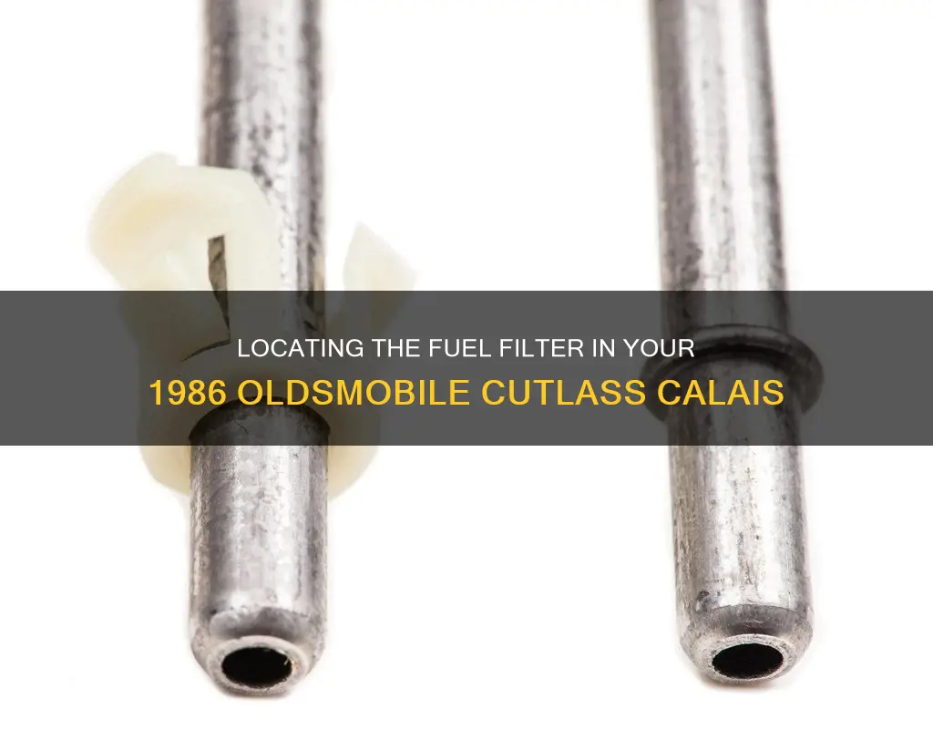 where is 1986 oldsmobile cutlass calais fuel filter