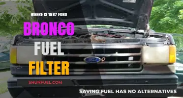 Locating the Fuel Filter on a 1987 Ford Bronco