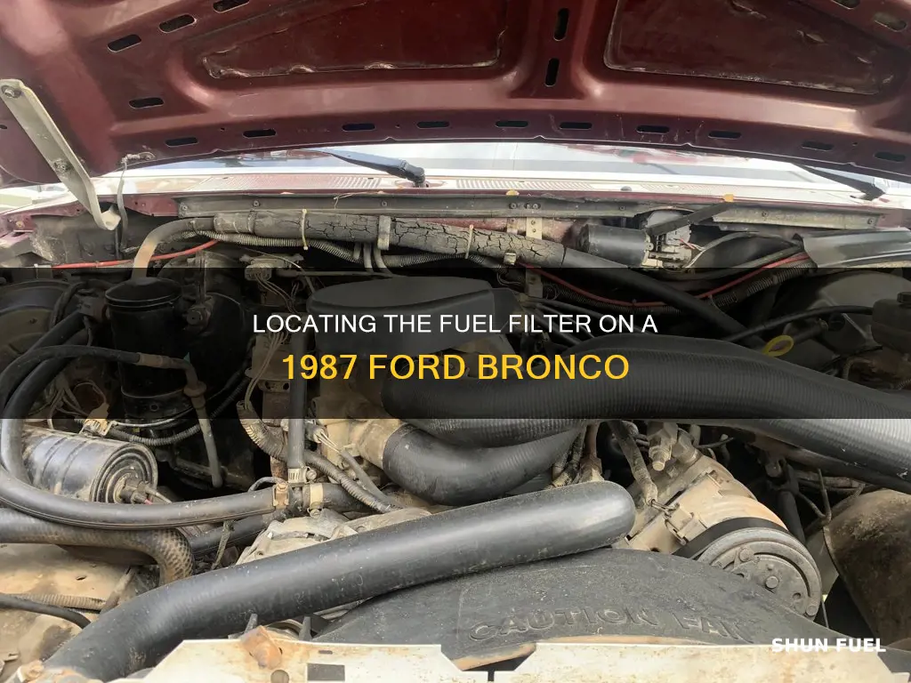 where is 1987 ford bronco fuel filter