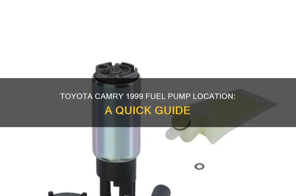 where is 1999 toyota camry fuel pump located