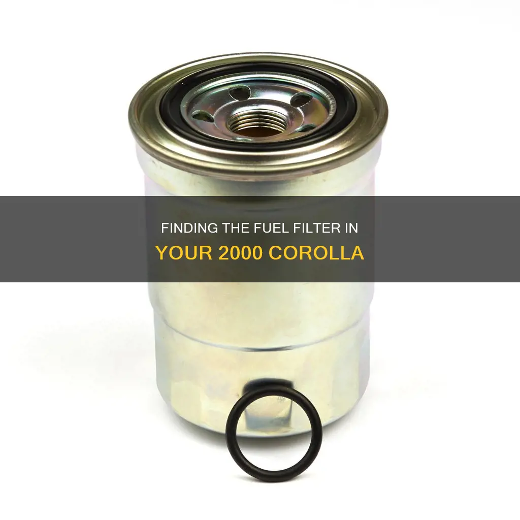 where is 2000 corolla fuel filter