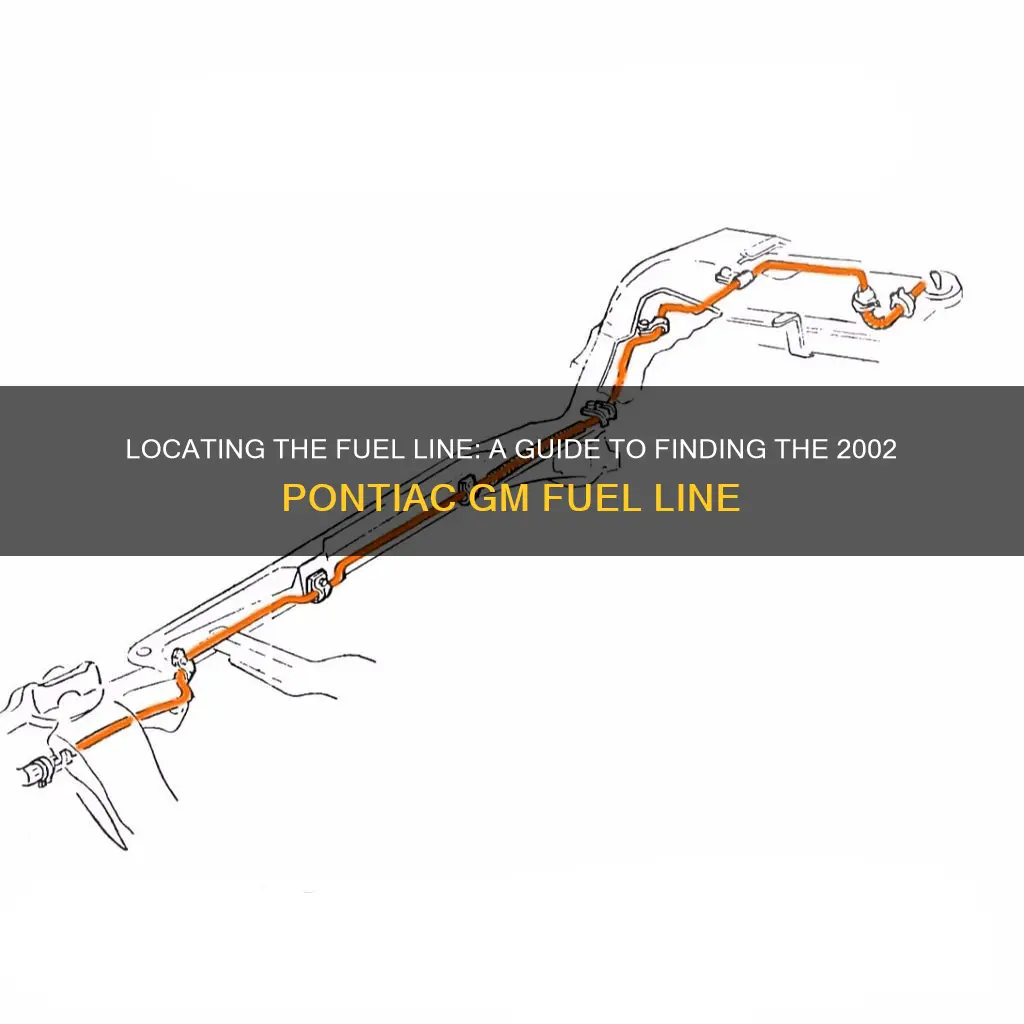 where is 2002 pontiac gm fuel line