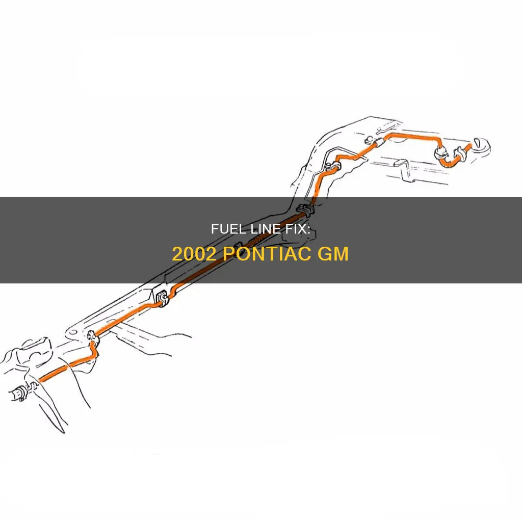 where is 2002 pontiac gm fuel line