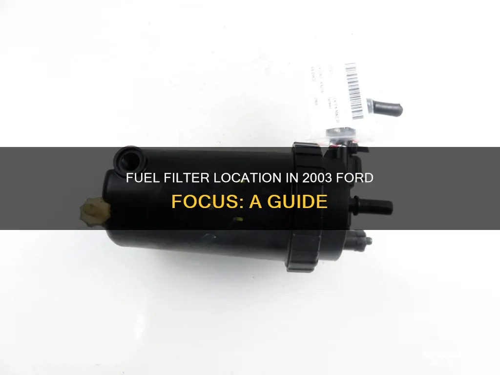 where is 2003 ford focus fuel filter