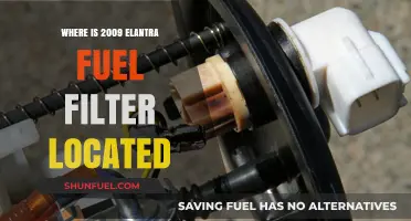 Fuel Filter Location in 2009 Elantra: Where is it?
