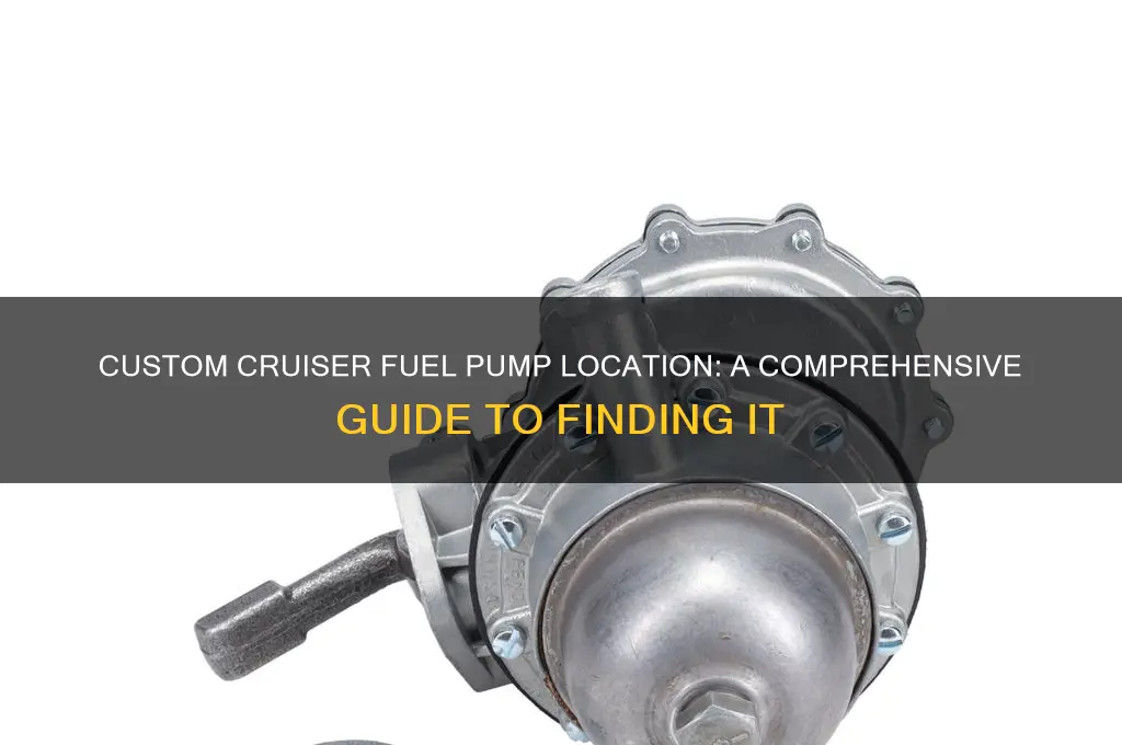 where is 92 custom cruiser fuel pump