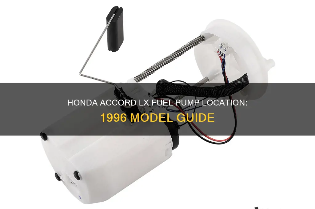 where is 96 honda accord lx fuel pump located