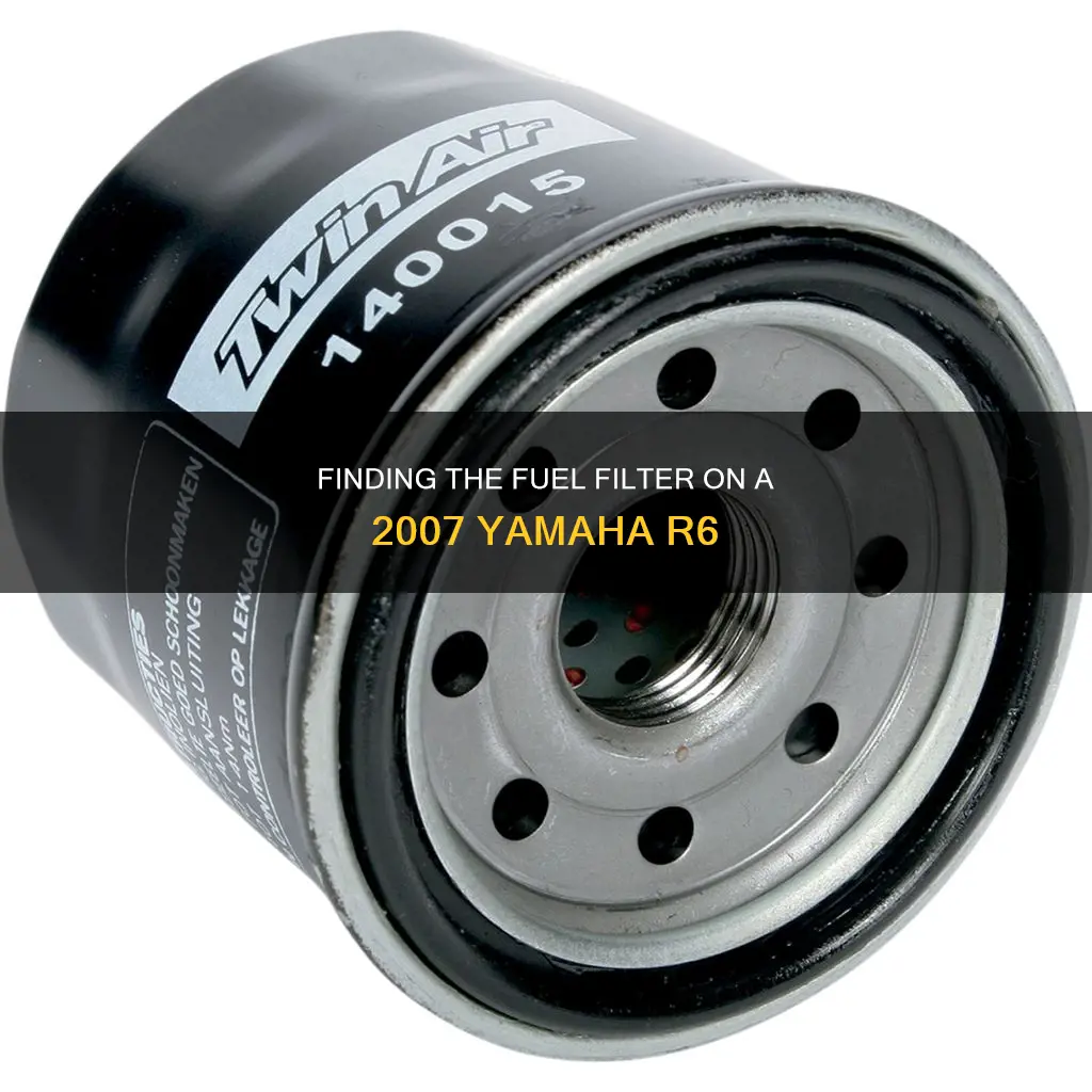 where is a 2007 yamaha model r66 fuel filter