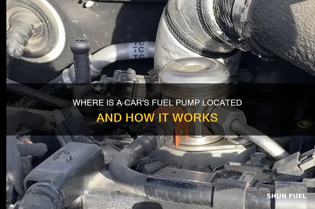 where is a cars fuel pump