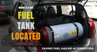 CNG Tanks: Where Are They Located in Vehicles?