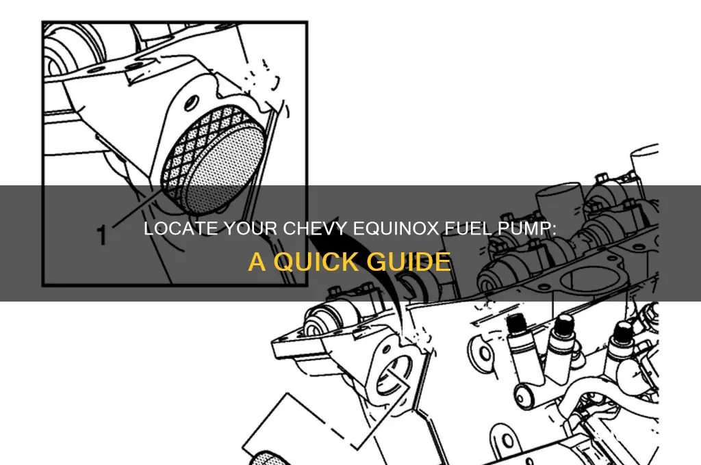 where is a fuel pump located on a chevy equinox