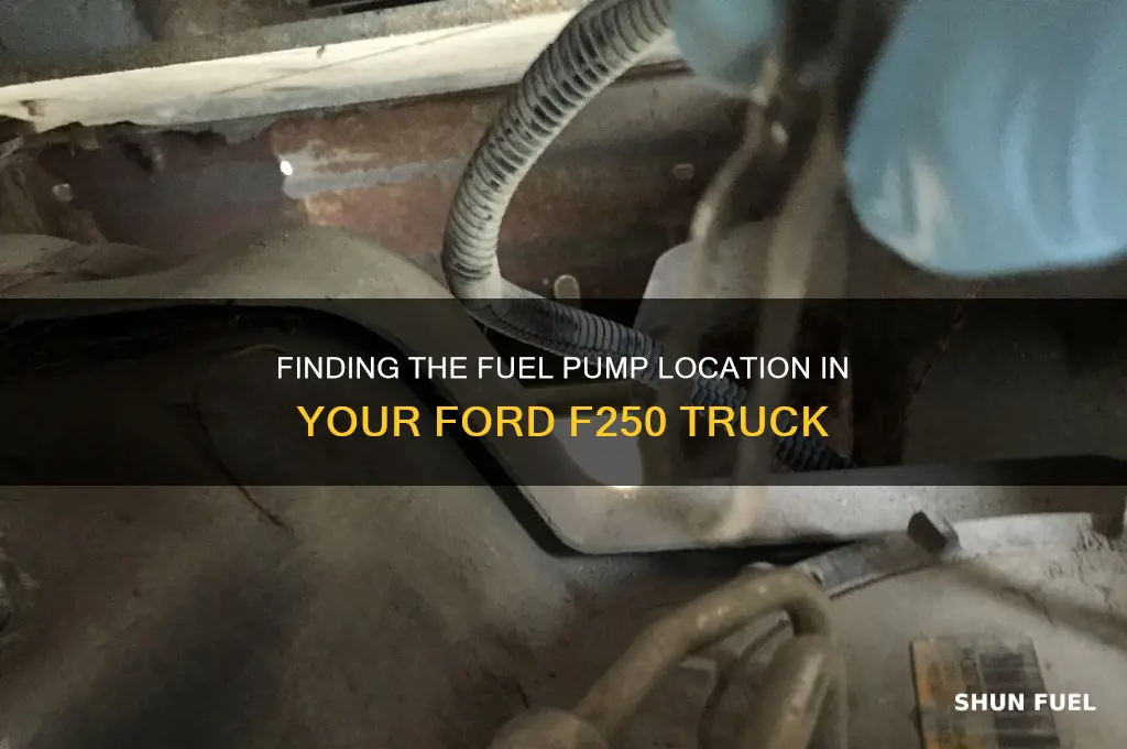 where is a fuel pump located on a f250