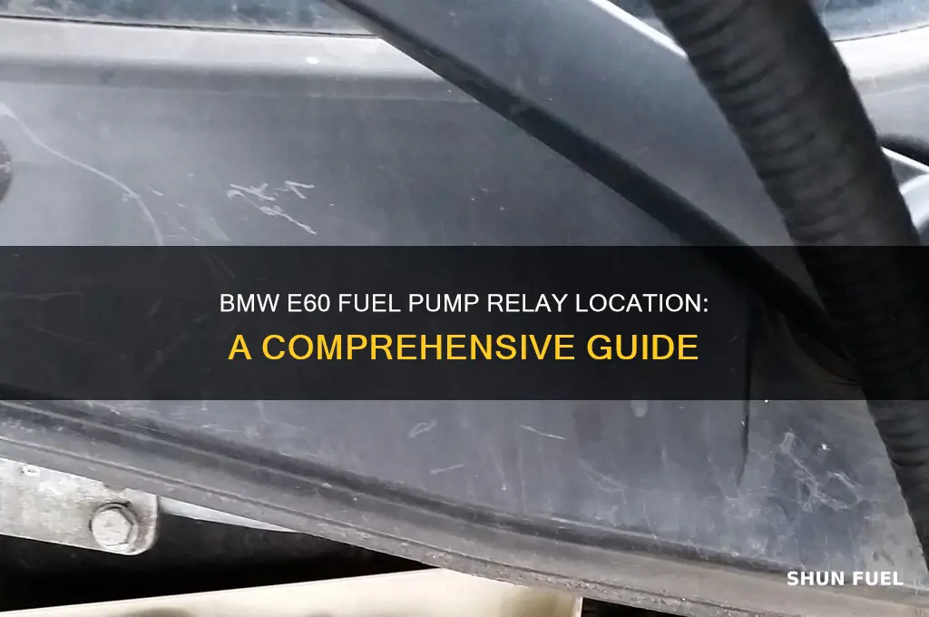 where is bmw e60 fuel pump relay