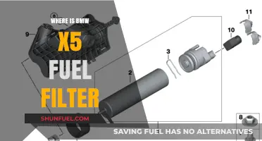 BMW X5 Fuel Filter: Location and Access
