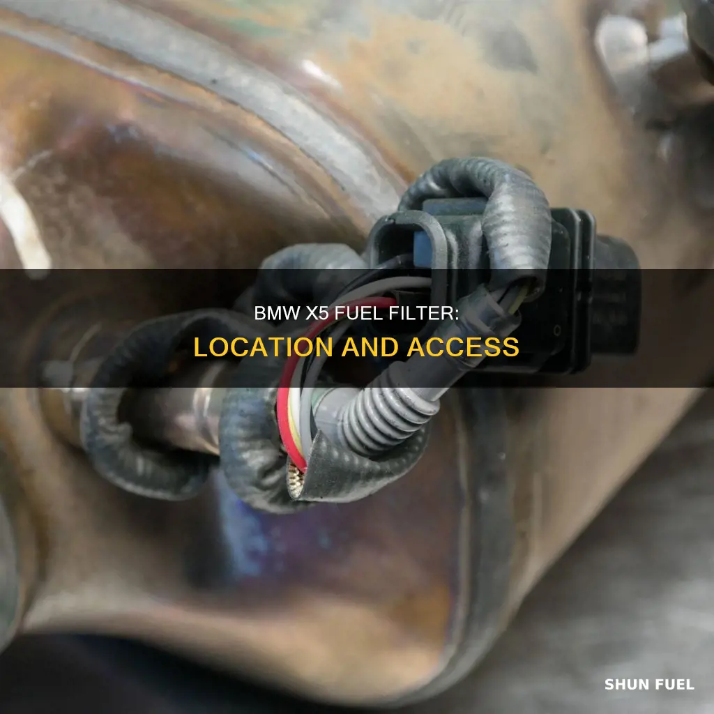 where is bmw x5 fuel filter