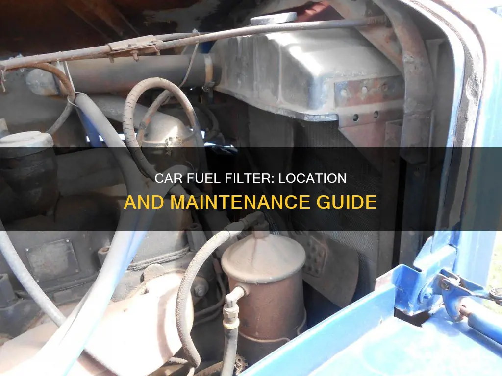 where is car fuel filter