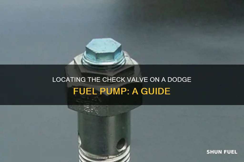 where is check valve on dodge fuel pump