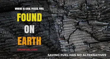 Exploring Earth's Coal Deposits: Where This Fossil Fuel is Found