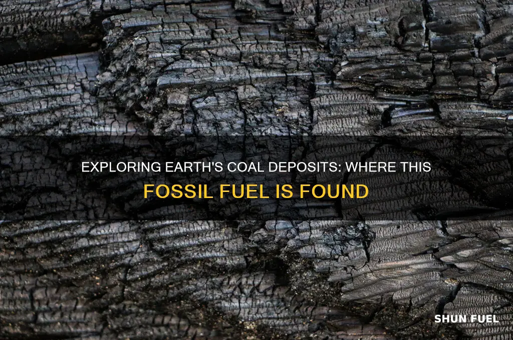 where is coal fossil fuel found on earth