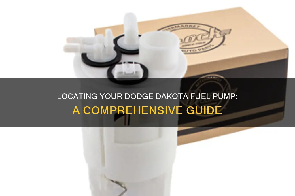 where is dodge dakota fuel pump