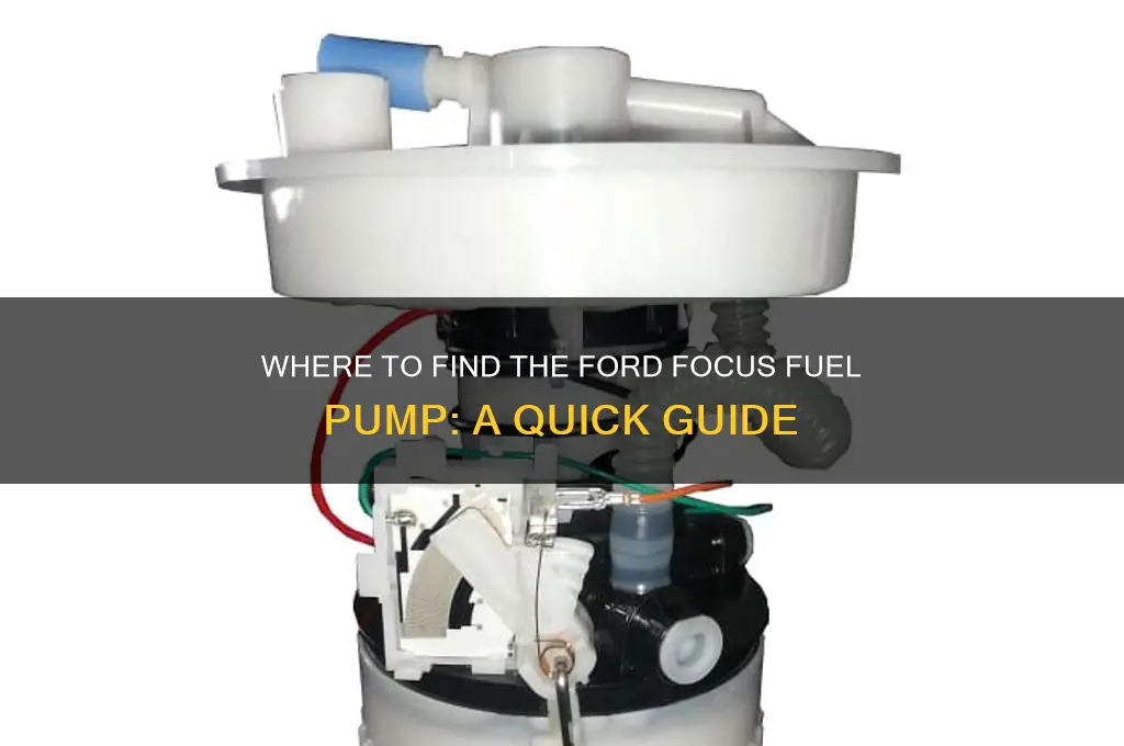 where is ford focus fuel pump