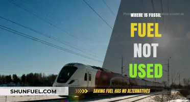 Exploring Regions and Industries Free from Fossil Fuel Dependence