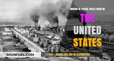 Where Fossil Fuels Power America: Key Uses Across the U.S