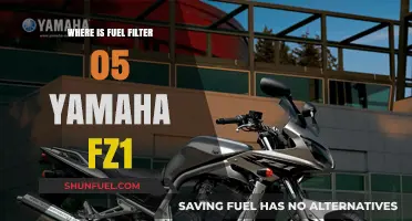 Yamaha FZ1 Fuel Filter: Location and Access