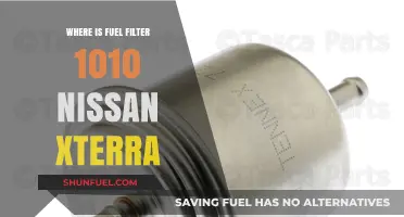Locating the Fuel Filter in Your Nissan Xterra
