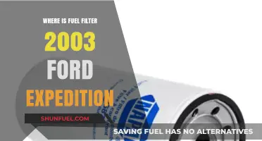 Locating the Fuel Filter in a 2003 Ford Expedition