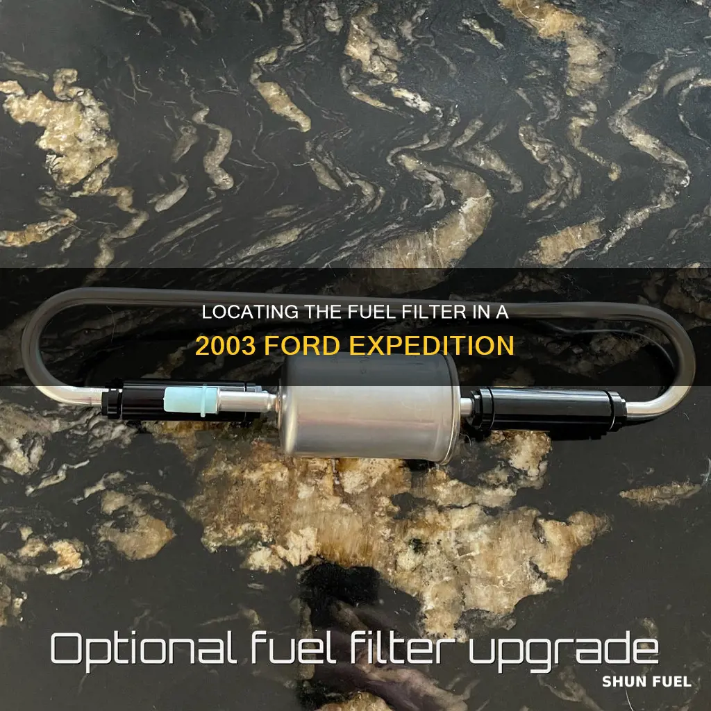 where is fuel filter 2003 ford expedition