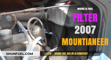 Locating the Fuel Filter in a 2007 Mountaineer